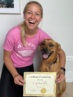 Olive graduates from the Anti-Cruelty Society's Intermediate Manners class!